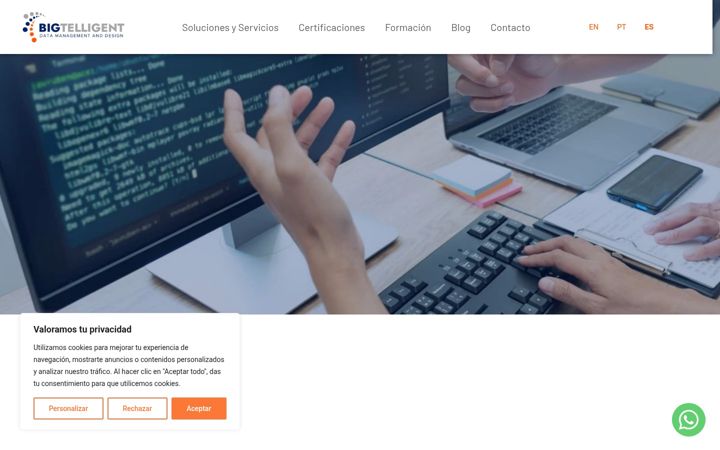 Captura de pantalla de bigtelligent.net
