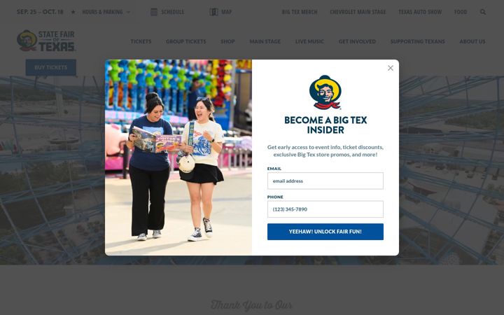 Skärmbild av bigtex.com