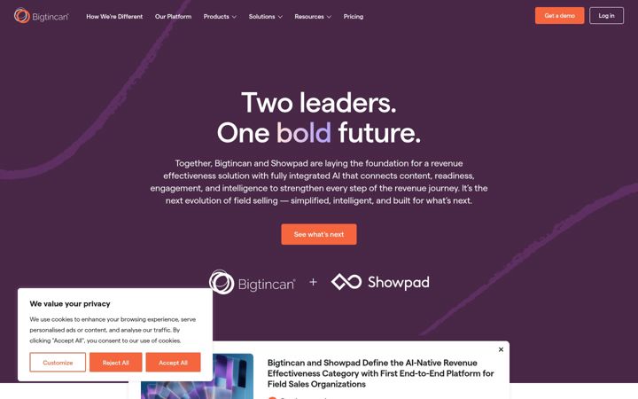 Screenshot of bigtincan.com