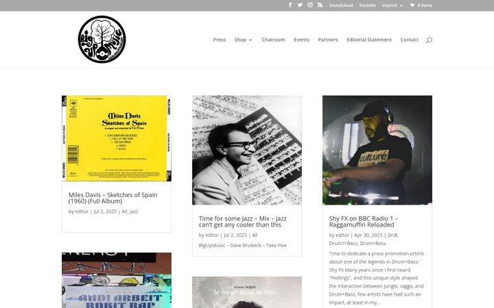 Screenshot of bigupmusic.com