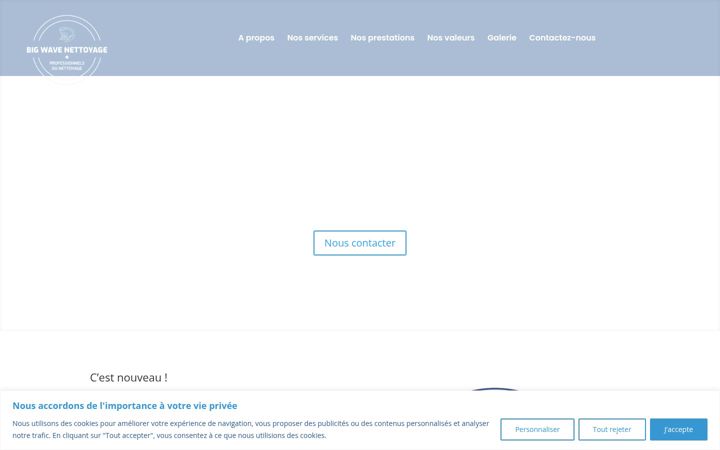 Screenshot of bigwavenettoyage.com