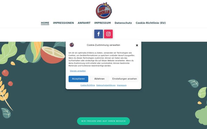 Screenshot of bigwolle.de