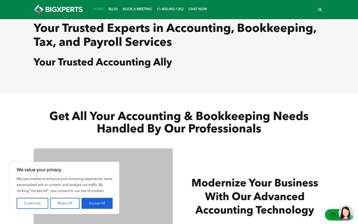 Screenshot of bigxperts.com