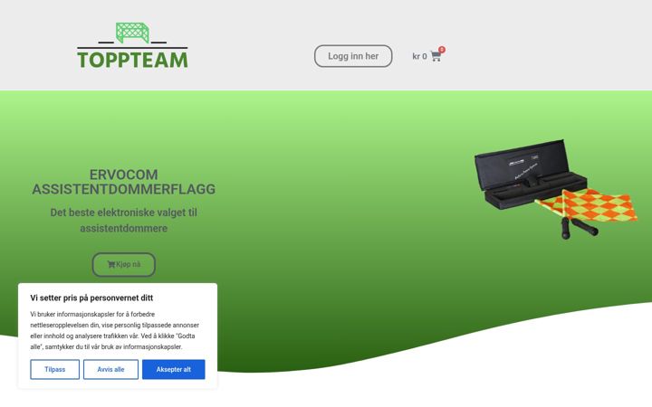 Screenshot of biipflagg.no