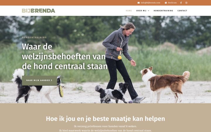Screenshot of bijbrenda.com