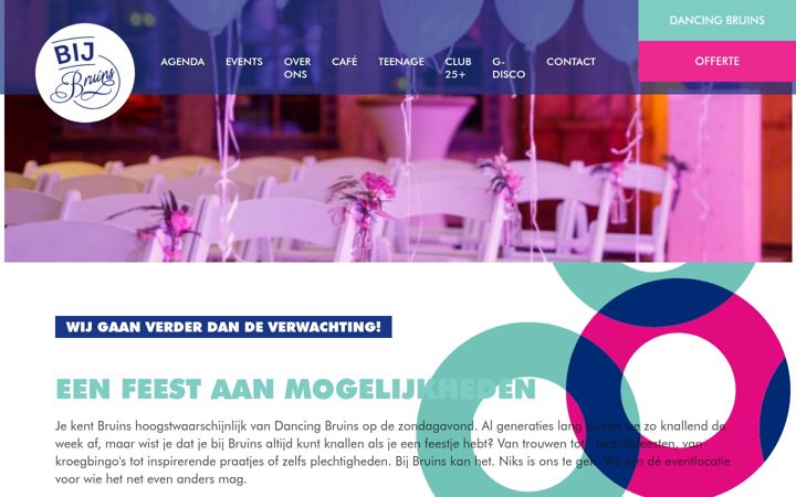 Zrzut ekranu bijbruins.nl