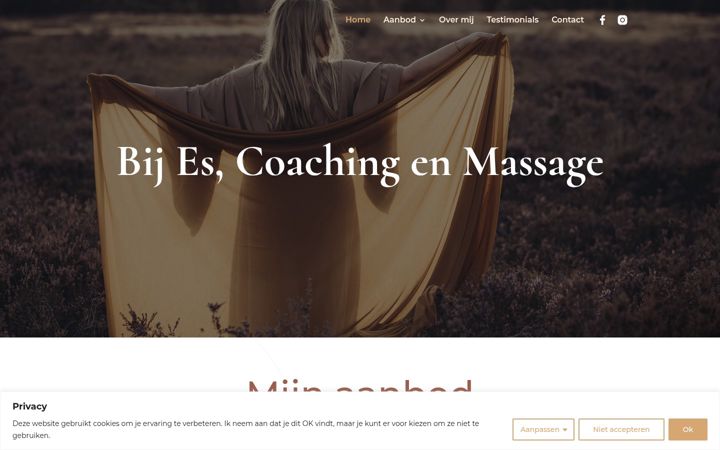 Snímek obrazovky bijescoaching.nl