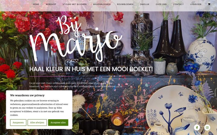 Screenshot of bijmarjo.nl