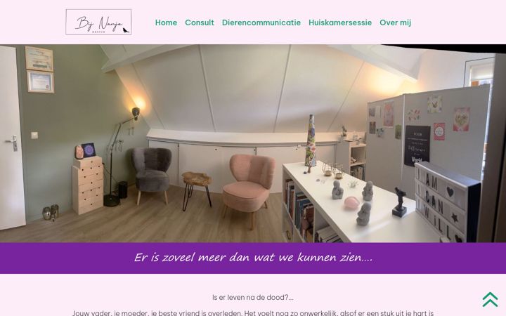 Screenshot ta' bijnanja.nl