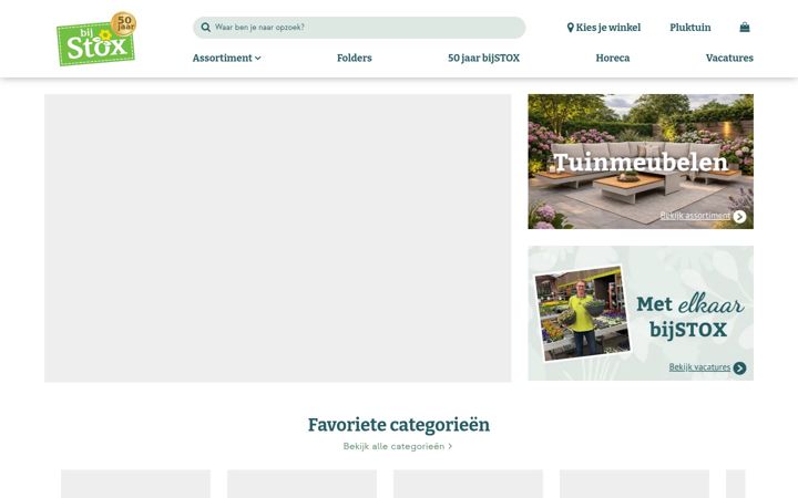 Screenshot ta' bijstox.nl