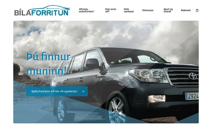 Screenshot of bilaforritun.is