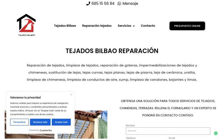 Screenshot of bilbaoreparaciontejados.es
