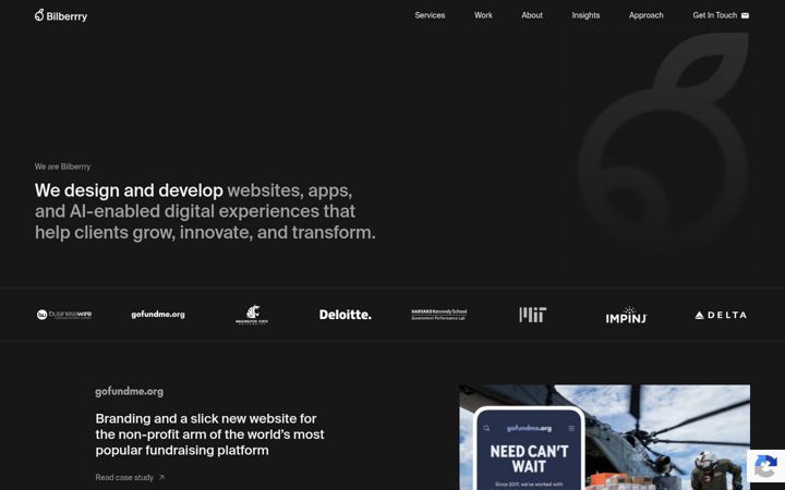 Screenshot of bilberrry.com