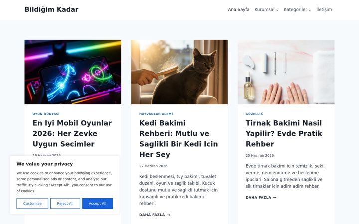 Screenshot of bildigimkadar.com
