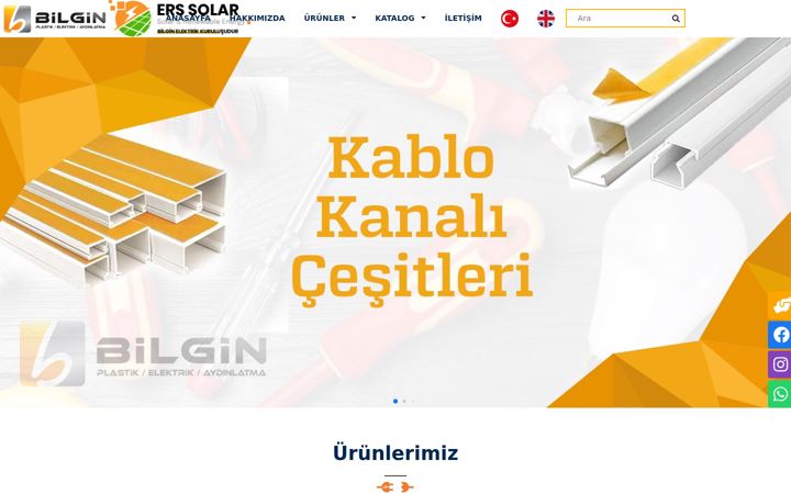 Skærmbillede af bilginelektrik.net