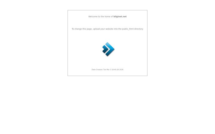 Screenshot of bilginet.net