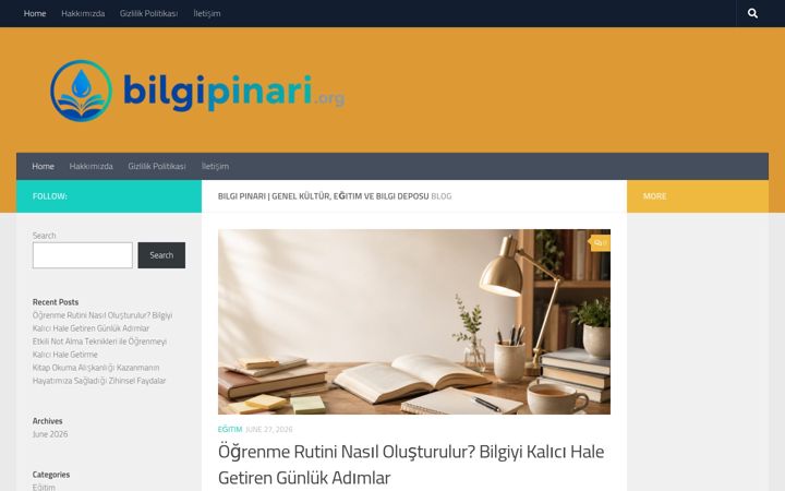 Ekrano kopija bilgipinari.org