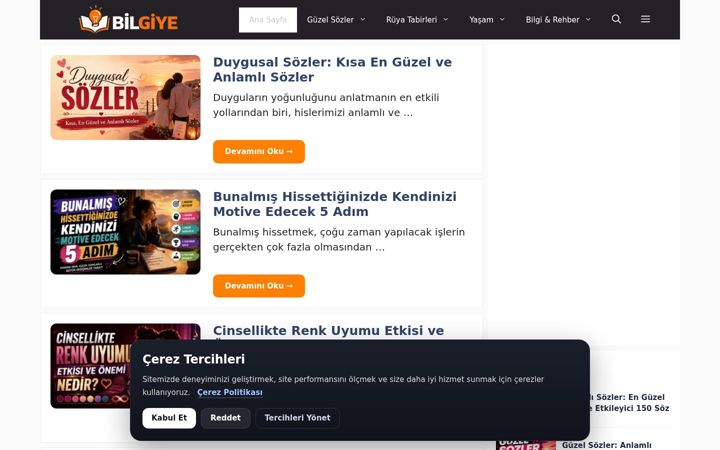 Screenshot of bilgiye.com