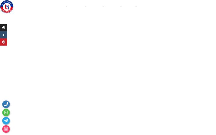 Screenshot of bilirgrup.com