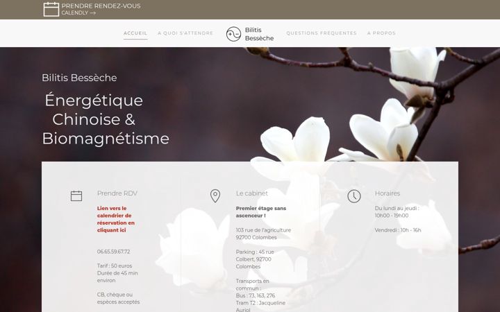 Screenshot of bilitisbesseche.fr