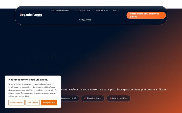 Screenshot of bilkher.com