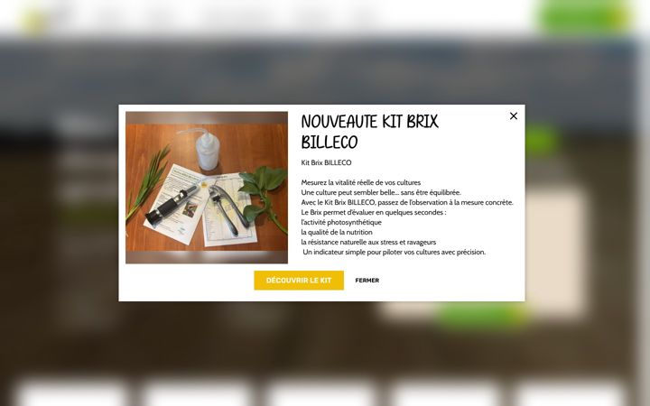 Screenshot von billeco.fr