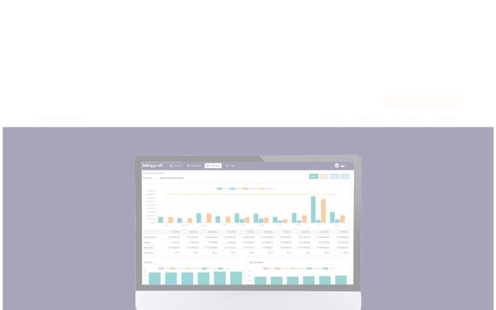 Screenshot of billingpoint.nl
