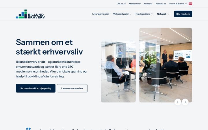 Screenshot of billunderhverv.dk