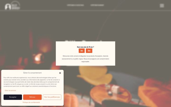 Screenshot of billybrandy.fr