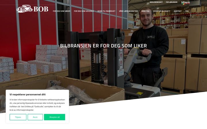 Capture d'écran de bilmek.no