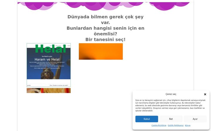 Screenshot of bilmengerek.de