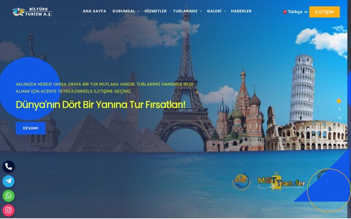 Screenshot of bilturk.com