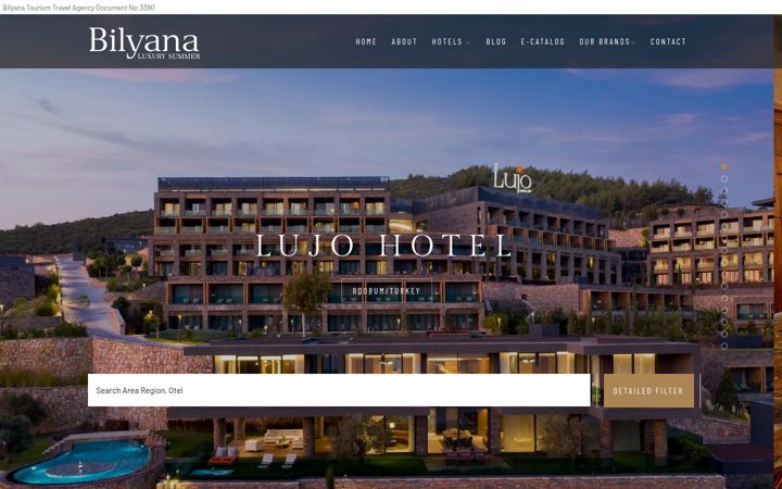 Screenshot of bilyanasummer.com
