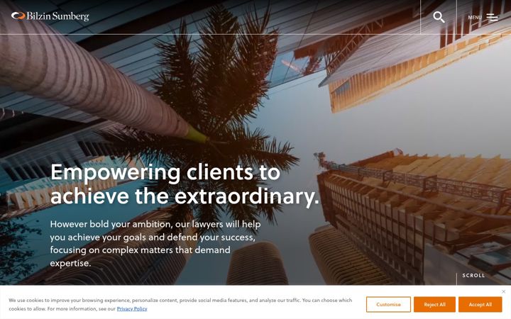 Screenshot of bilzin.com