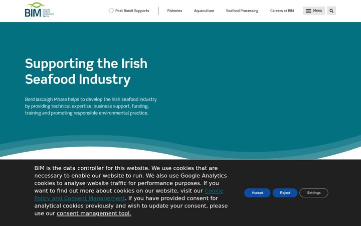 Screenshot of bim.ie