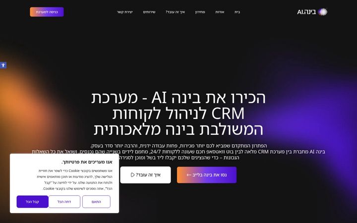 Screenshot of bina-ai.co.il
