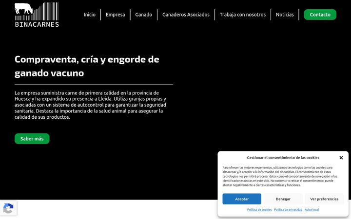 Screenshot of binacarnes.com