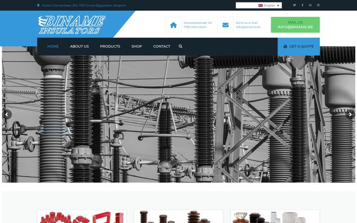 Screenshot of biname-insulators.be