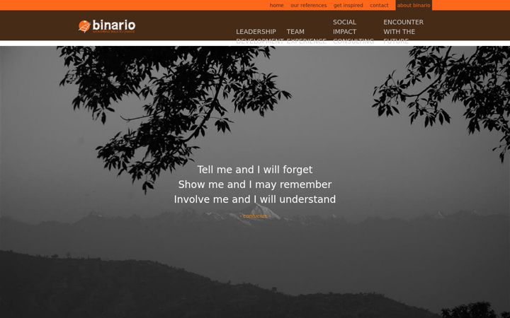 Screenshot of binario.be
