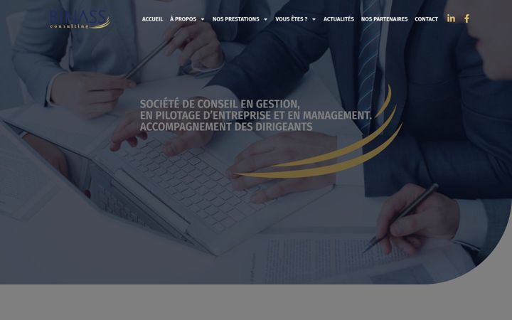 Screenshot of binass-consulting.fr