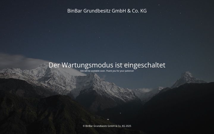 Screenshot of binbar.de