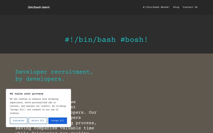 Screenshot of binbashtalent.com