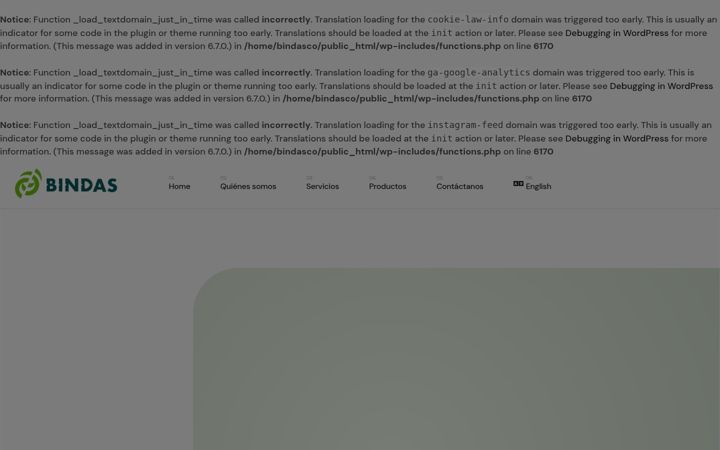 Screenshot of bindas.mx