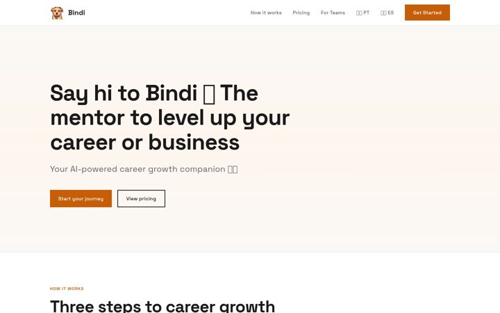 Screenshot of bindi.coach
