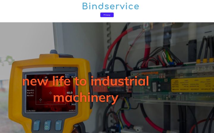 Captură de ecran a bindservice.it