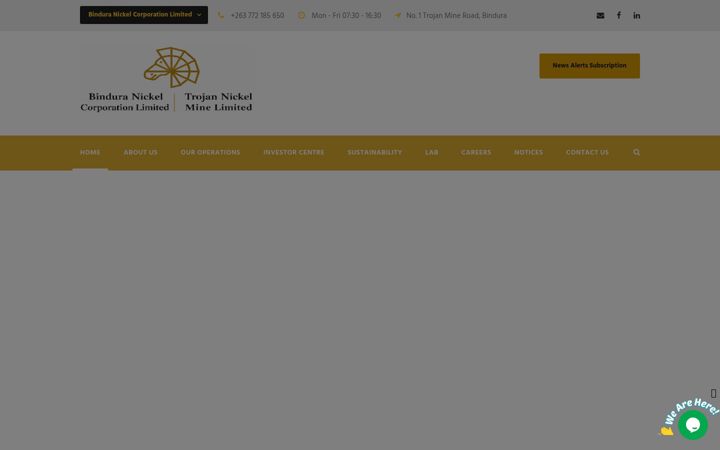 Screenshot of binduranickel.co.zw