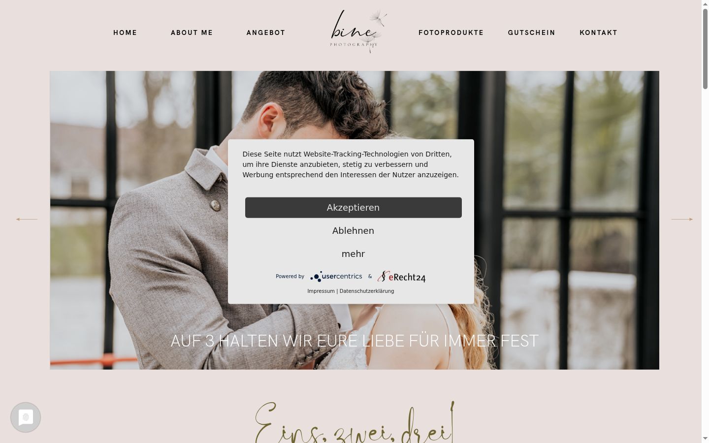 Screenshot of the consent banner shown before any interaction