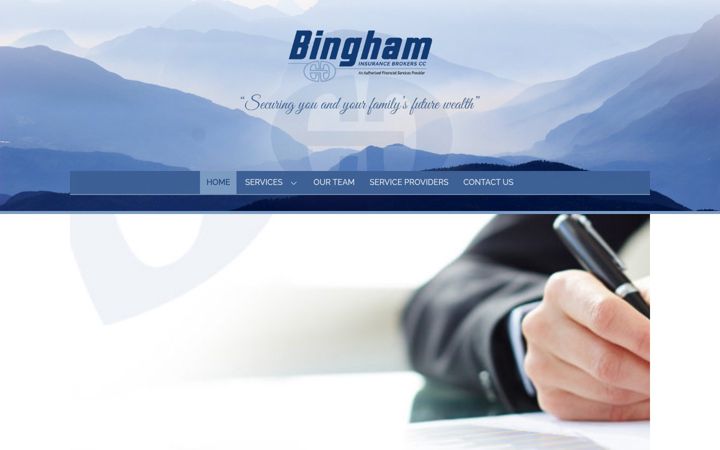Screenshot of binghaminsurancebrokers.co.za