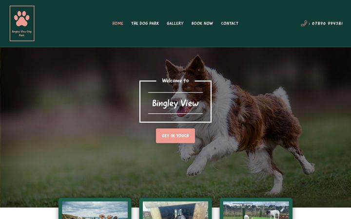 Screenshot of bingleyview.co.uk