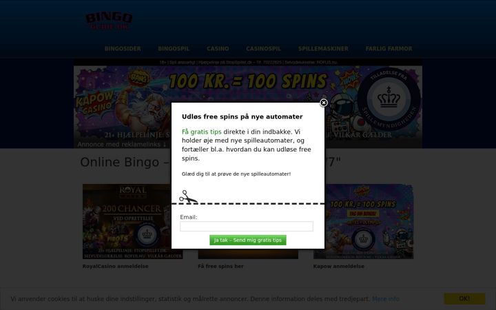 Screenshot of bingoguide.dk